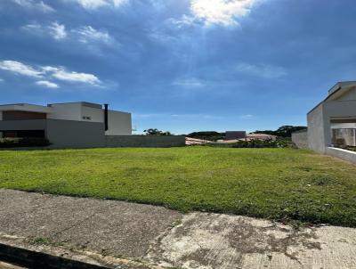 imagem-miniatura