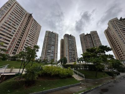 imagem-miniatura