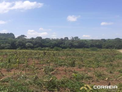 rea para Venda, em Rebouas, bairro Interior