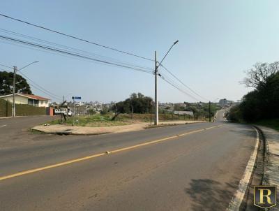 Im�vel Comercial para Venda, em Guarapuava, bairro Bonsucesso