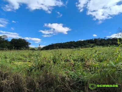 rea Rural para Venda, em Trs Passos, bairro interior