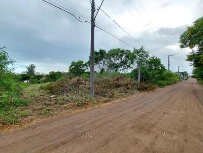Terreno para Locao, em Serra, bairro Nova Zelndia