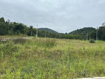 Terreno para Venda, em Barra Velha, bairro .