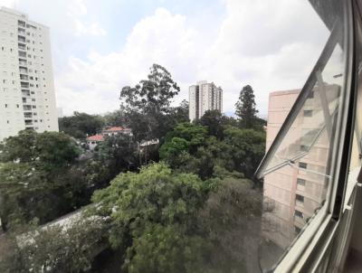 imagem-miniatura