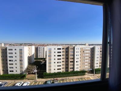 Apartamento para Locao, em Sumar, bairro Parque Yolanda (Nova Veneza), 2 dormitrios, 1 banheiro, 1 vaga