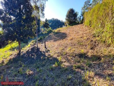 Terreno para Venda, em So Bento do Sul, bairro Boehmerwald
