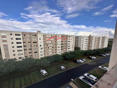 imagem-miniatura