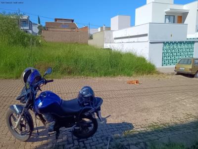 imagem-miniatura