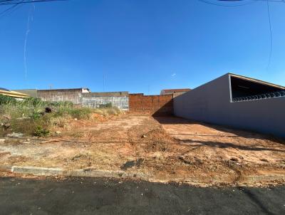 imagem-miniatura