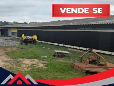 Stio para Venda, em , bairro .