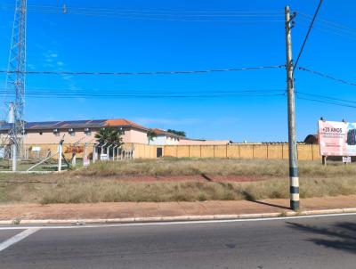 Terreno para Venda, em Andradina, bairro Centro
