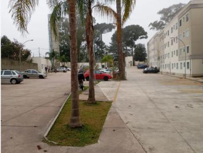 imagem-miniatura