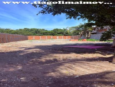 imagem-miniatura