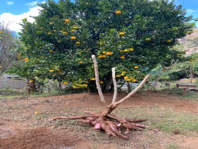 Granja para Venda, em Juiz de Fora, bairro Varginha