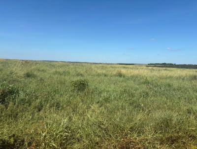 Fazenda para Venda, em Bataguassu, bairro Rural