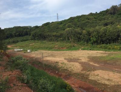 Terreno para Venda, em Caxias do Sul, bairro Linha 40