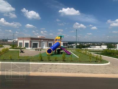 imagem-miniatura