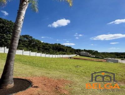imagem-miniatura