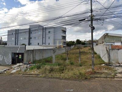 Terreno para Venda, em Guarapuava, bairro Santa Cruz
