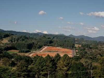 Terreno para Venda, em Dois Irmos, bairro Vale Direito