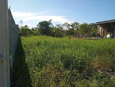 Terreno para Venda, em Matinhos, bairro Balneario Praia Grande