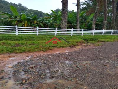 Stio para Venda, em Barbacena, bairro Correia de Almeida