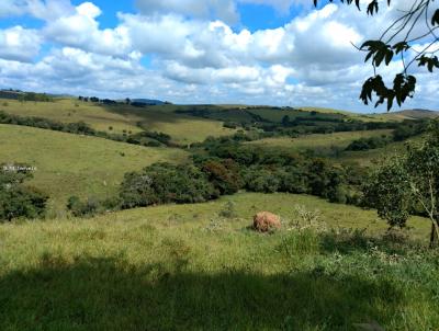 Fazenda para Venda, em Andrelndia, bairro rea Rural