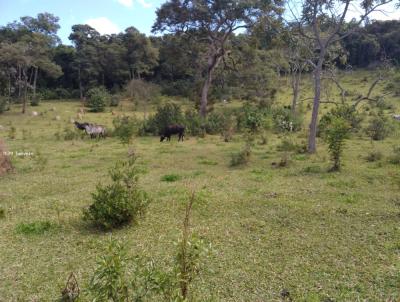 Fazenda para Venda, em Andrelndia, bairro rea Rural