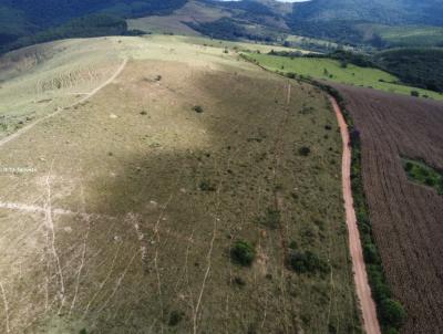 Fazenda para Venda, em Andrelndia, bairro rea Rural