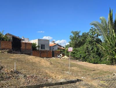 Lote para Venda, em Ji-Paran, bairro Colina Park