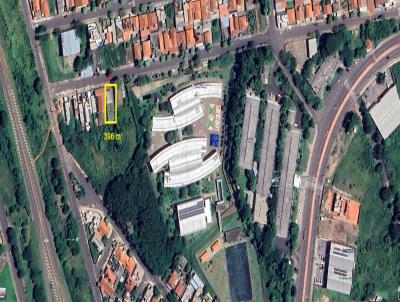 imagem-miniatura