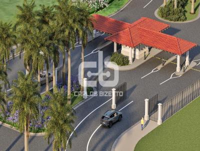 imagem-miniatura