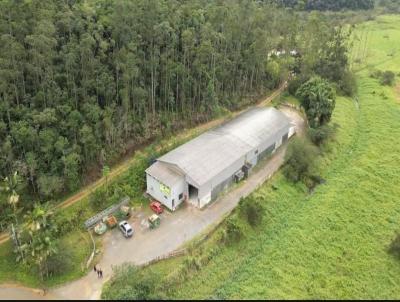 Galp�o para Venda, em Araquari, bairro Corveta