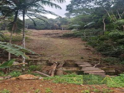 Terreno para Venda, em Itapema, bairro Tabuleiro dos Oliveiras