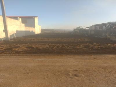 Terreno para Venda, em Pelotas, bairro Areal