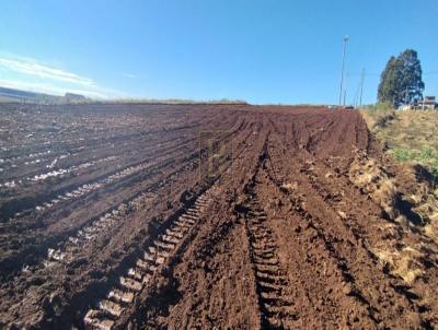 Terreno para Venda, em Guarapuava, bairro Vila Carli
