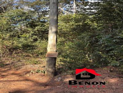 Lote para Venda, em Brumadinho, bairro SUZANO