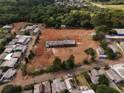 Terreno para Venda, em Guarapuava, bairro Boqueir�o