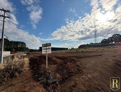 Terreno para Venda, em Guarapuava, bairro Morro Alto