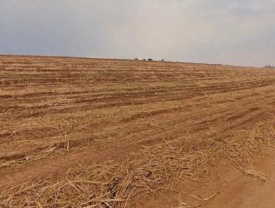 Fazenda para Venda, em Porto Feliz, bairro Zona Rural