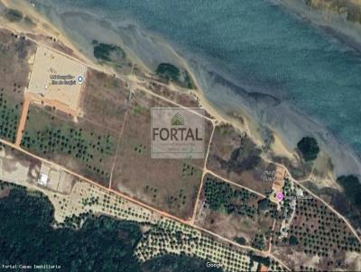 Lote para Venda, em Itarema, bairro Ilha do Guajir�