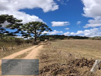 Terreno para Venda, em Parais�polis, bairro Sert�o do Cantagalo