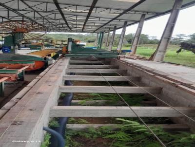 Fazenda para Venda, em Registro, bairro .