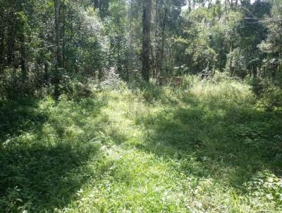 Ch�cara para Venda, em Guarapuava, bairro Entre Rios