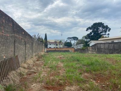 Terreno para Venda, em Guarapuava, bairro Centro