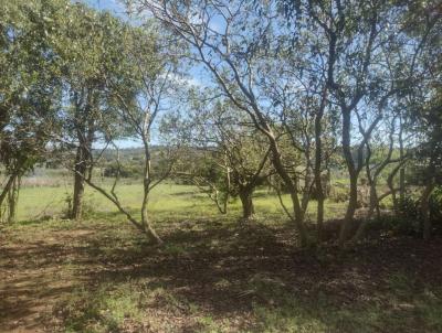 Ch�cara para Venda, em , bairro , 3 dormit�rios, 1 banheiro, 1 vaga