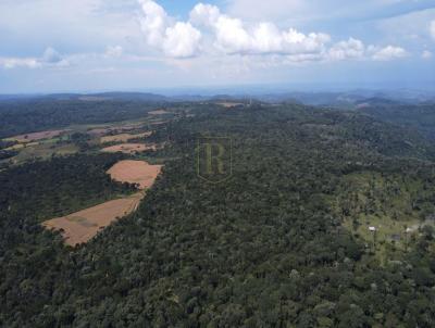 Ch�cara para Venda, em Pinh�o, bairro �rea Rural
