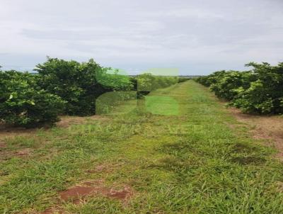 Fazenda para Venda, em , bairro .
