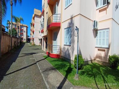imagem-miniatura