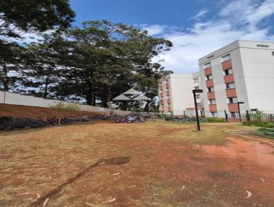 Apartamento para Venda, em S�o Paulo, bairro Vila Nova Parada, 2 dormit�rios, 1 banheiro